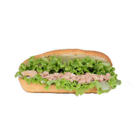 Ton-balıklı-sadwich-soğuk